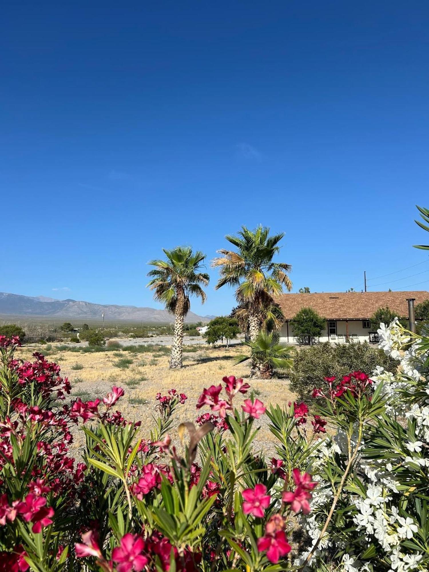 K7 Bed&Breakfast Pahrump Exterior foto